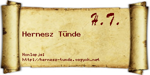 Hernesz Tünde névjegykártya